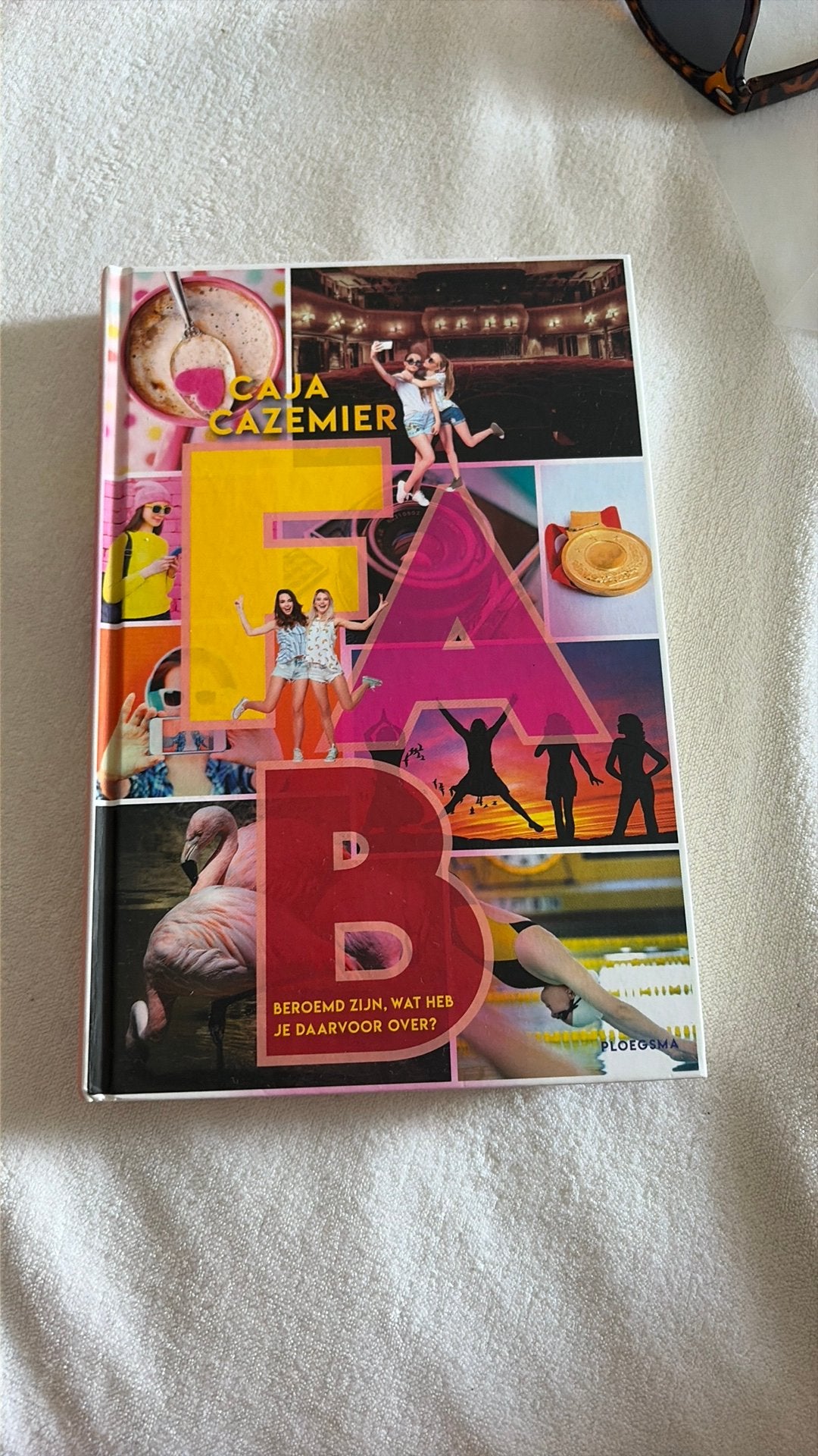 Caja Cazemier - Fab, Caja Cazemier, Comme neuf, Enlèvement, Non-fiction