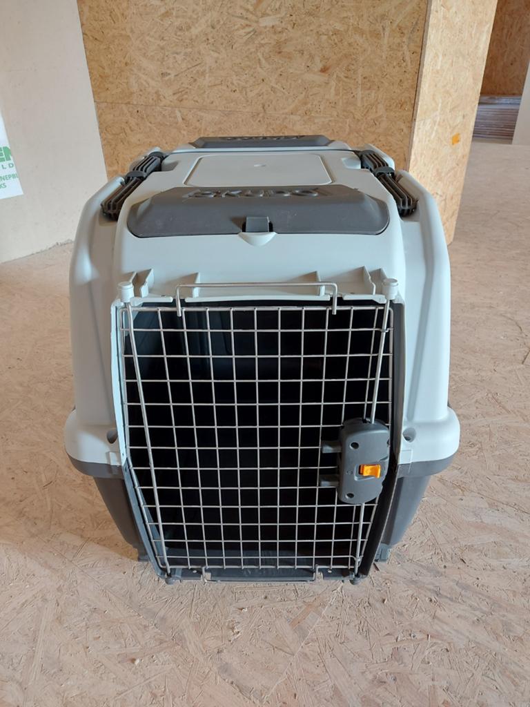 Cage pour chien - cage de transport SKUDO IATA 5, Animaux & Accessoires, Boîtes de transport