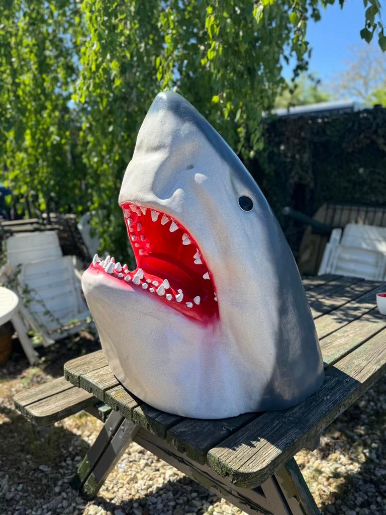 Grande statue de Jaws Shark en forme de tête de requin, Enlèvement, Utilisé, Animal