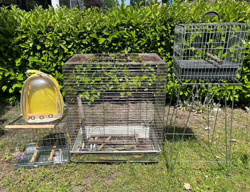 papegaaien kooi, Dieren en Toebehoren, Papegaai