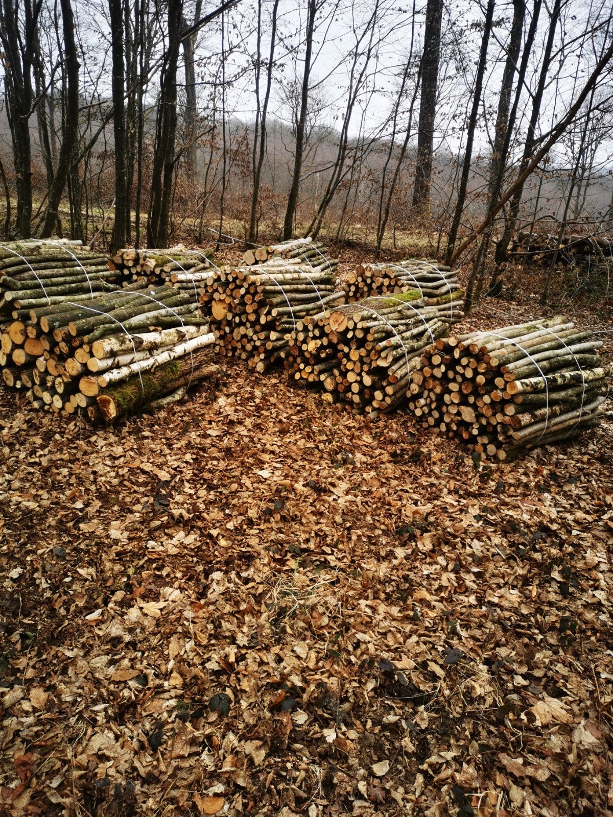 bois de chauffage sec, Bricolage & Construction, Enlèvement ou Envoi, Chêne