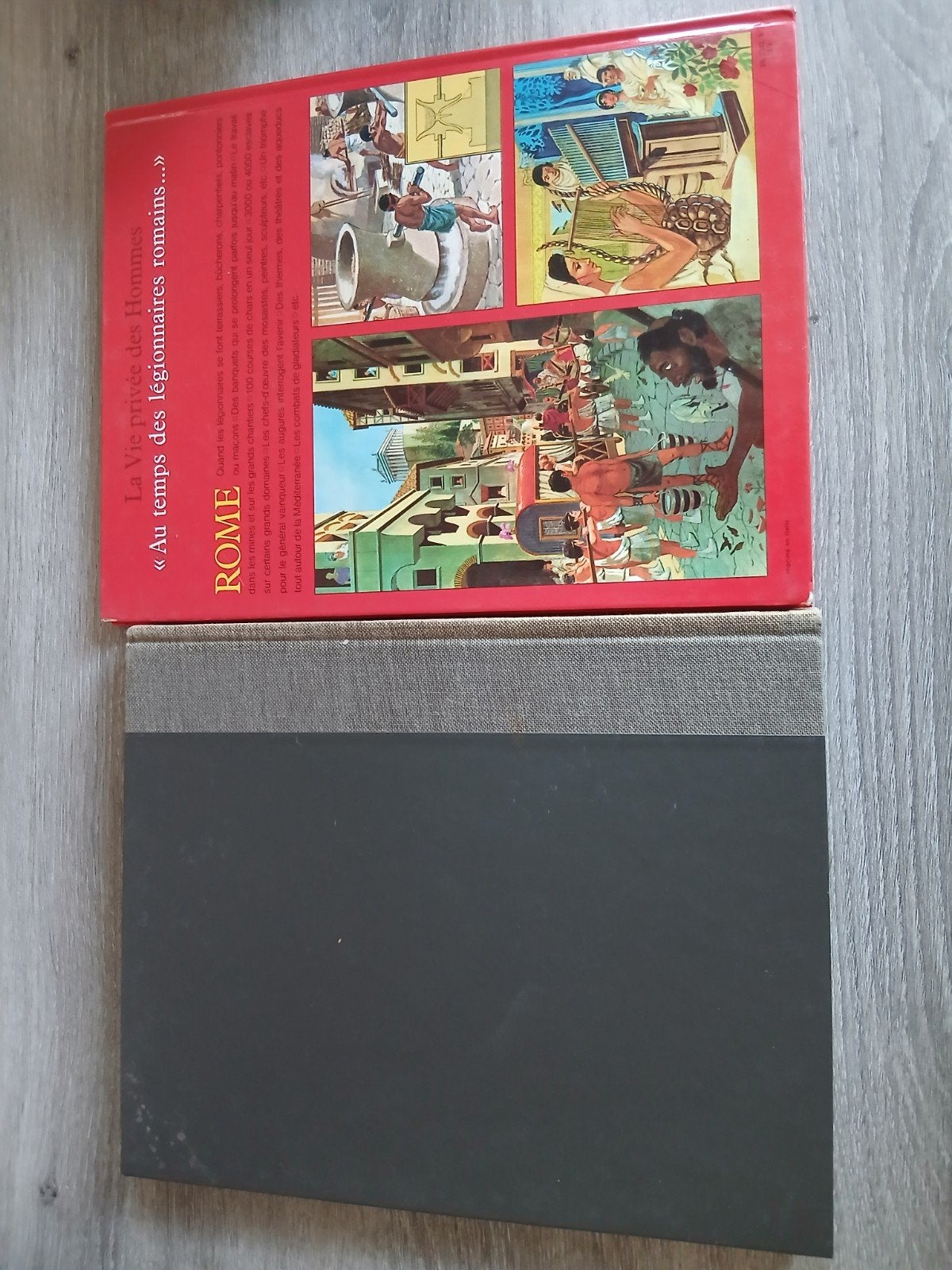 2 livres sur les grandes epoques japonais/romain, Enlèvement