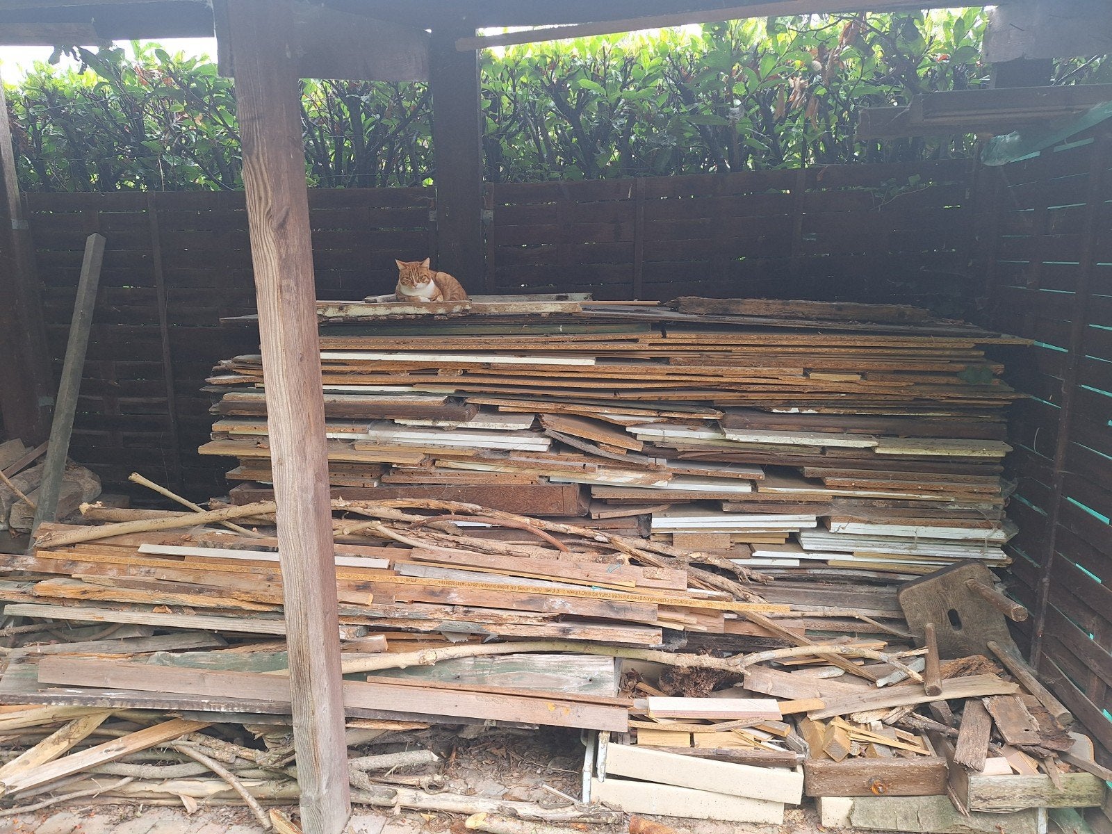 Gratis hout, Ophalen