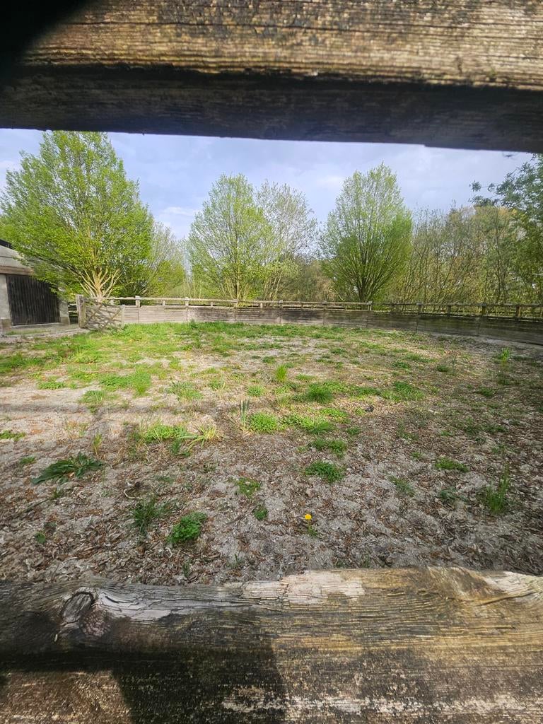 Paarden omheining 100de meters + poorten zelf afbreken, Ophalen