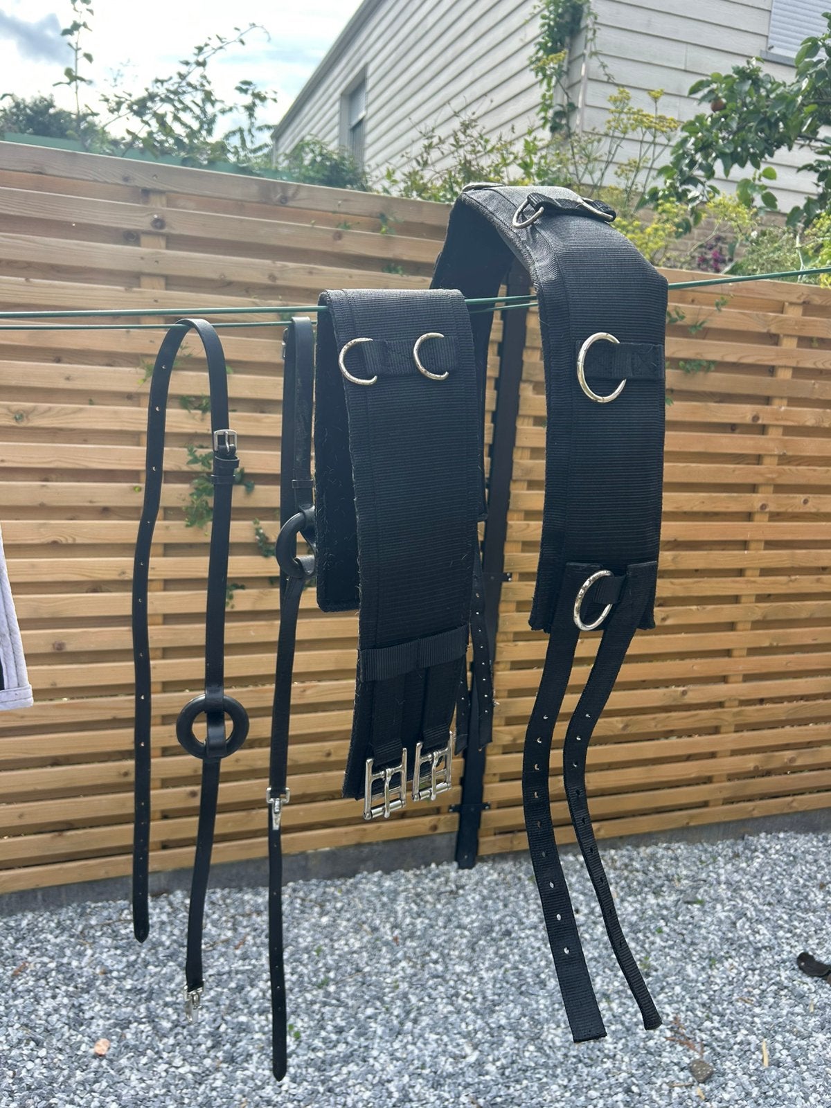 Longeersingel en bijzetteugel, Animaux & Accessoires, Chevaux & Poneys | Brides & Harnachement, Enlèvement ou Envoi, Utilisé