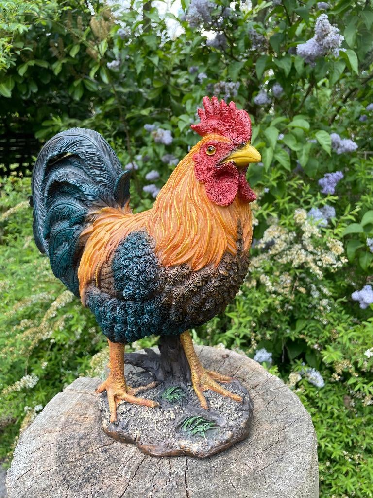 Beeld Haan, tuin, vijver, gazon, boerderij 35cm, Ophalen, Nieuw, Kunststof, Dierenbeeld