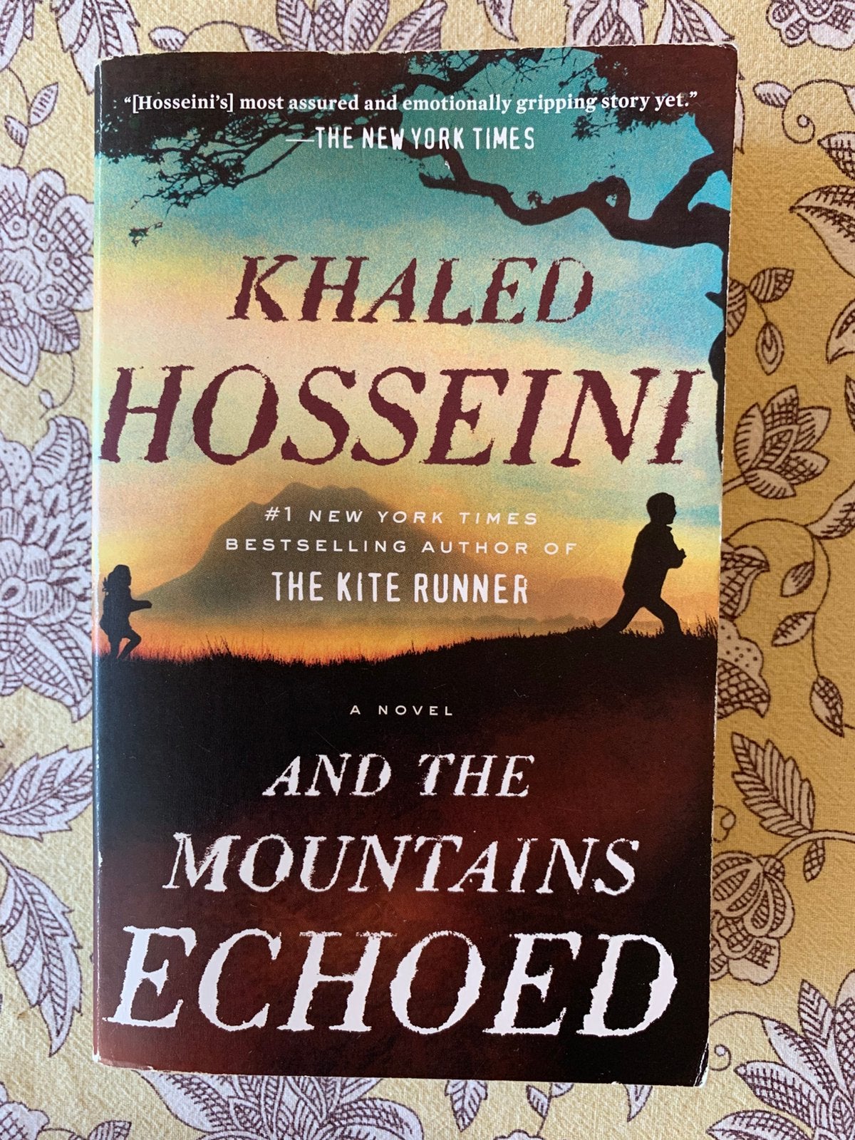khaled hosseini - and the mountains echoed, Boeken, Ophalen