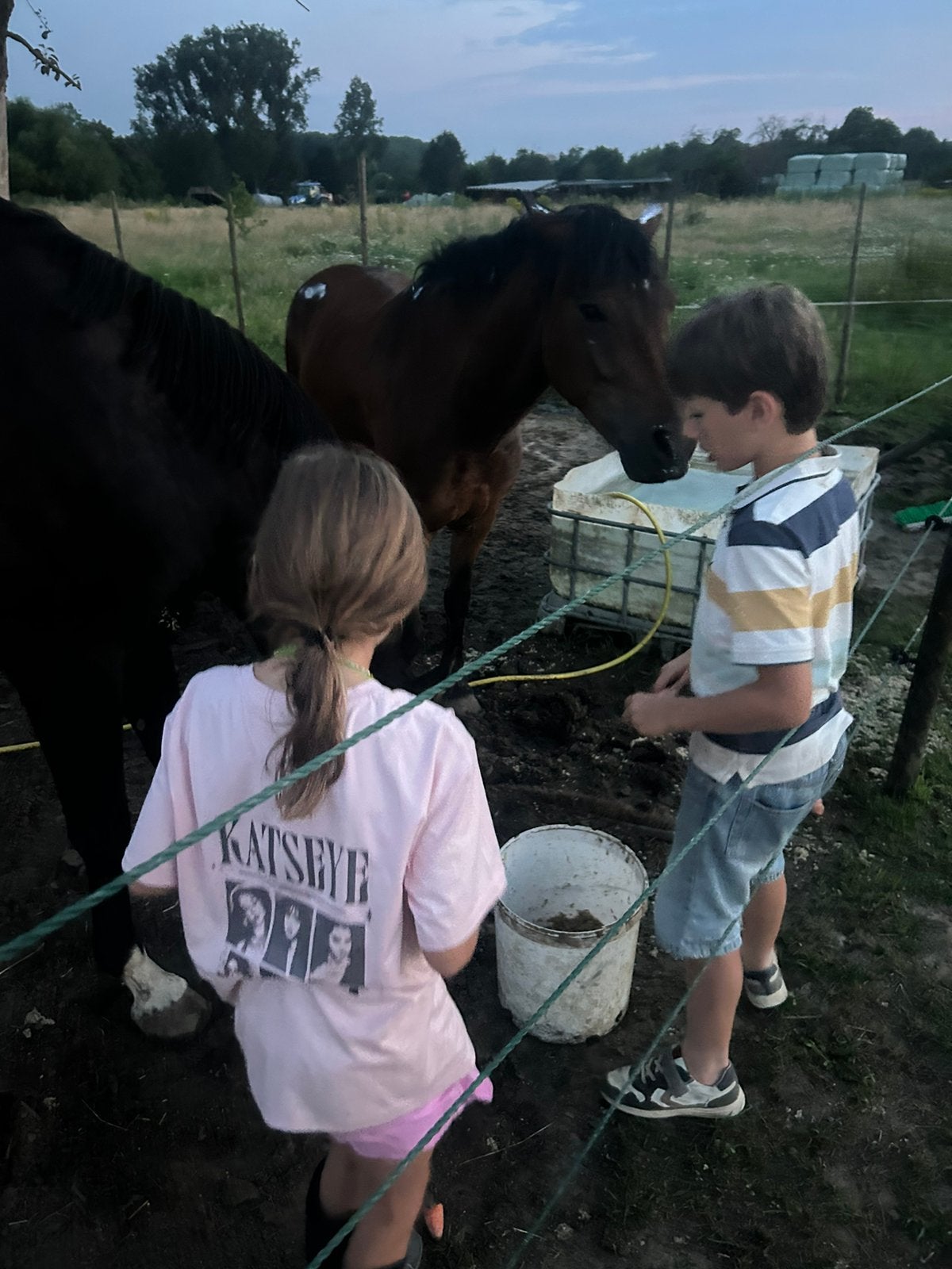 Super lieve D pony., Enlèvement, Comme neuf