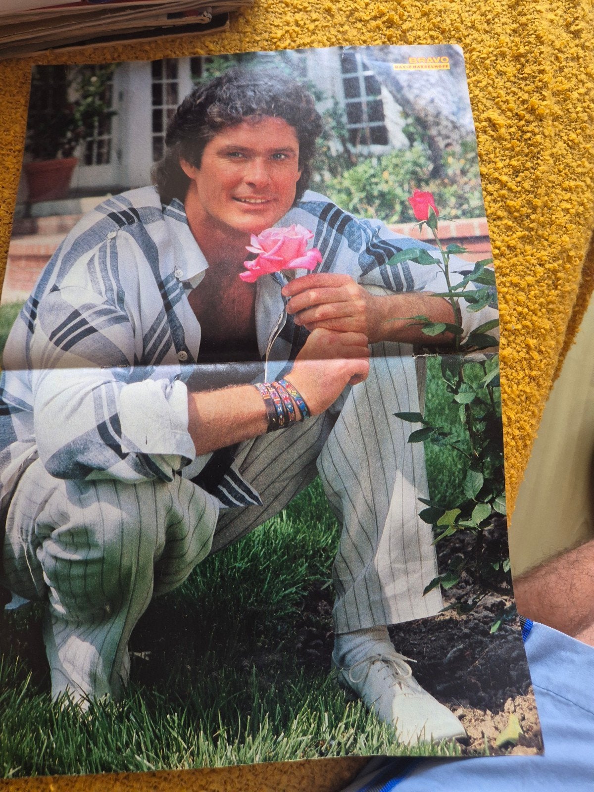 poster David Hasselhoff, Verzenden