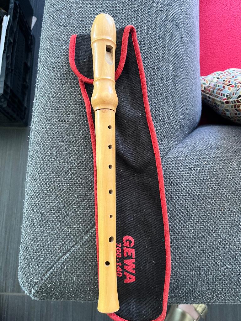 Blokfluit, Musique & Instruments, Instruments à vent | Flûtes à bec, Enlèvement ou Envoi, Utilisé, Avec valise, étui ou housse