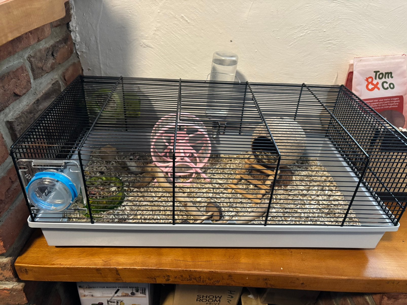 Cage complète et hamster nain, Enlèvement, Comme neuf, Cage, Hamster