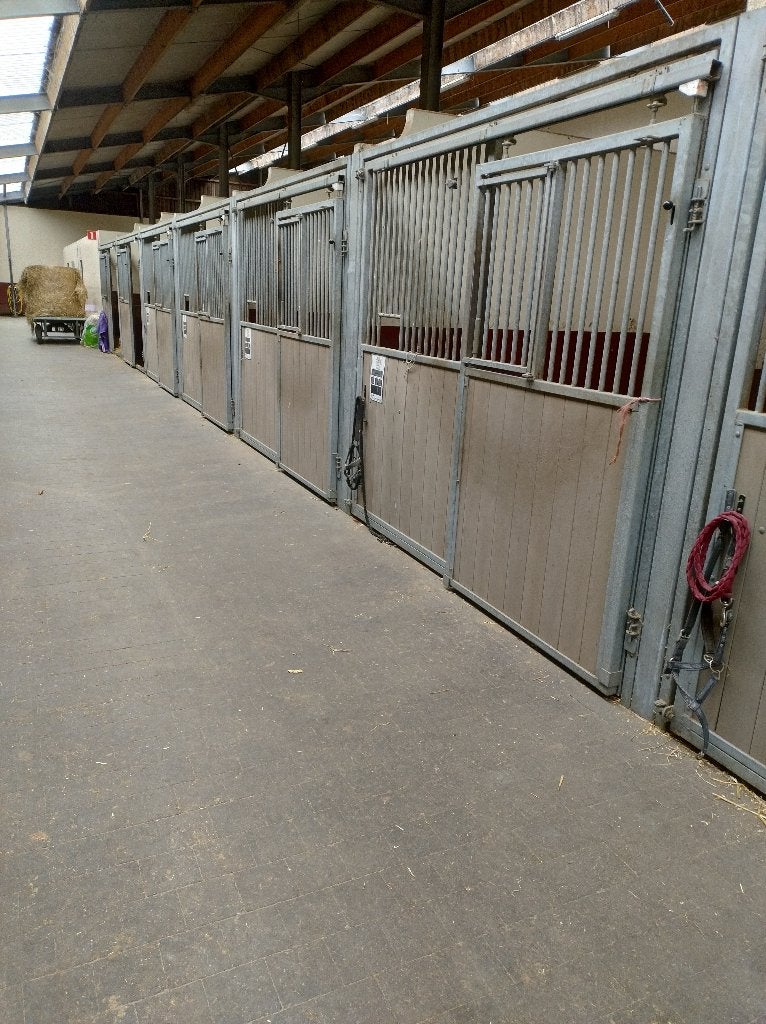 Paardenstallen te huur, Mise à l'étable