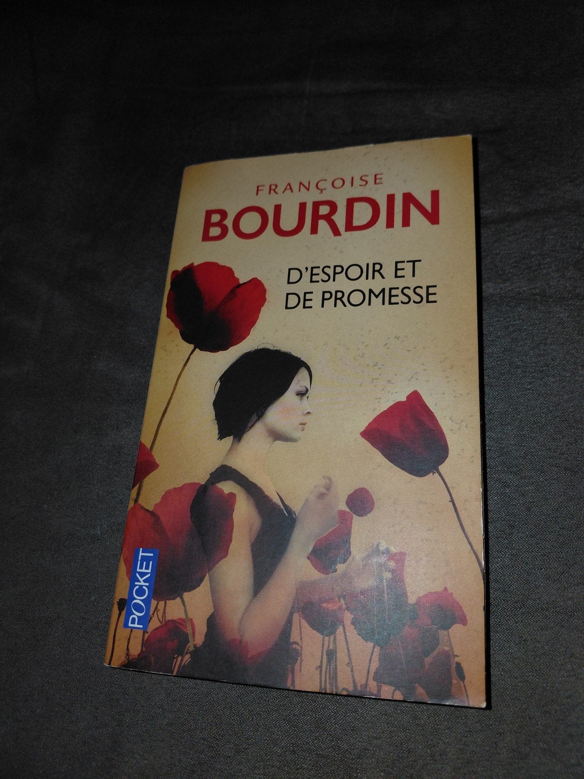 livre d'espoir et de promesse, Boeken, Romans, Ophalen