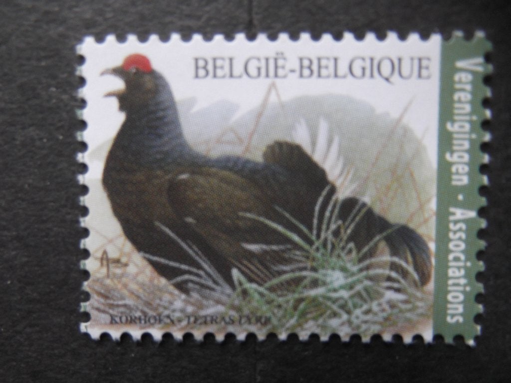 4305 Korhoen - Tétras-lyre MNH, Ophalen of Verzenden, Postfris