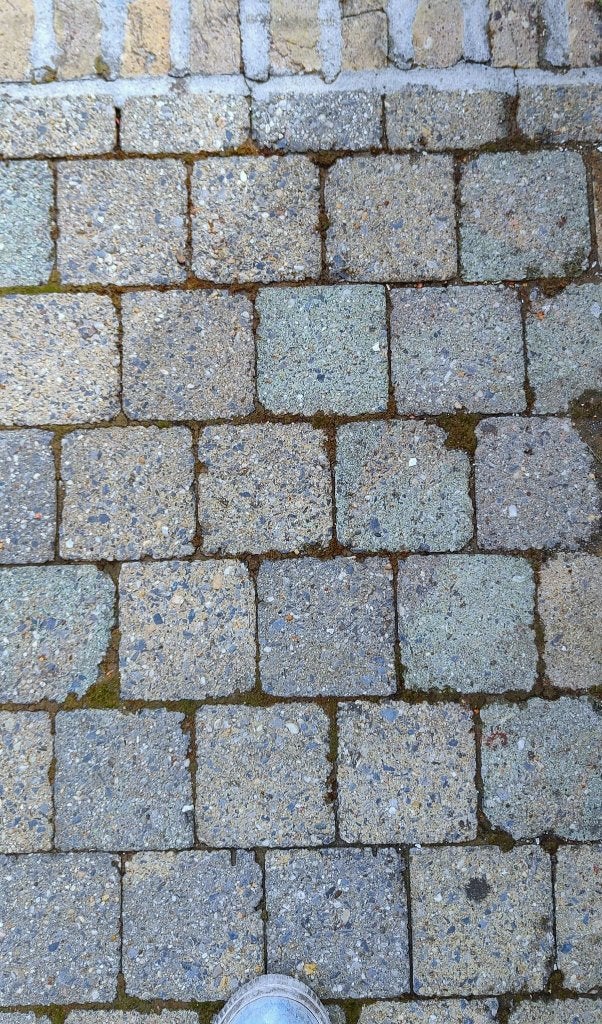 Recherchons pavés béton verts, Enlèvement, Béton, Moins de 5 m², Briques