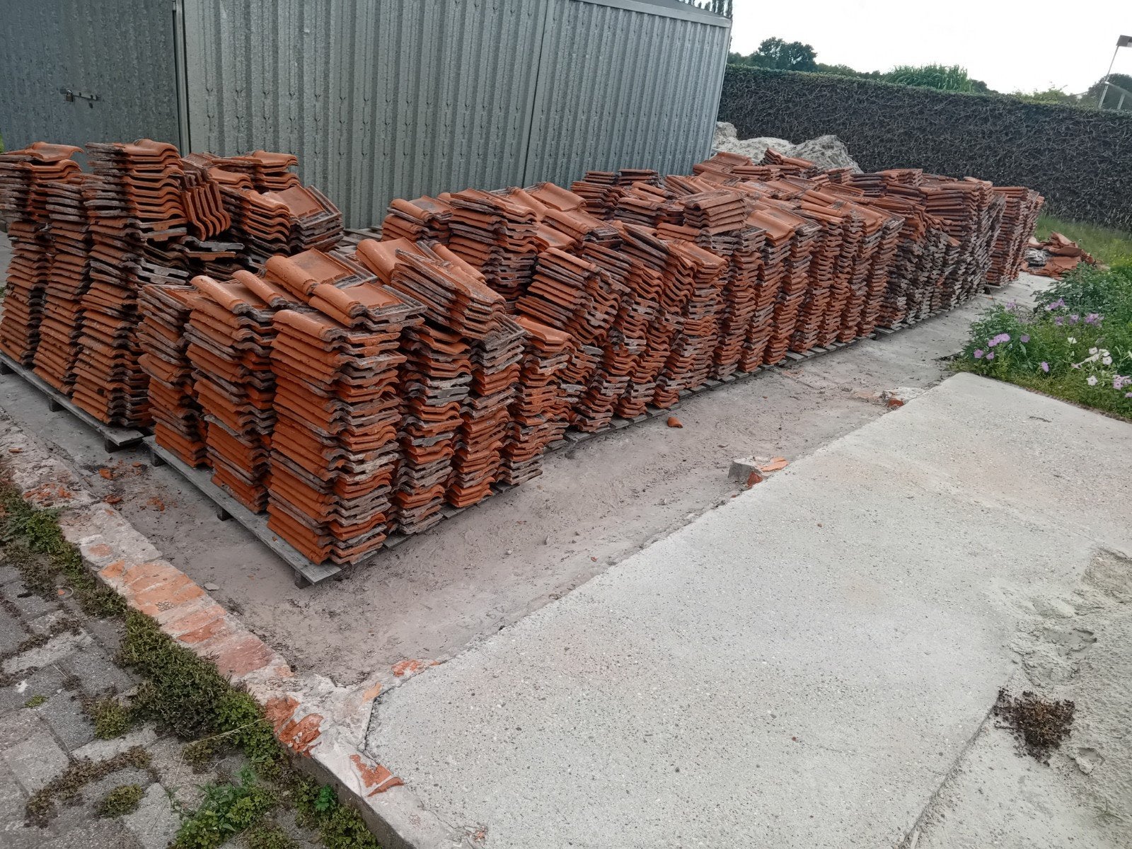 +-3600 Pottelberg dakpannen, Doe-het-zelf en Bouw, Dakpannen en Dakbedekking, Ophalen