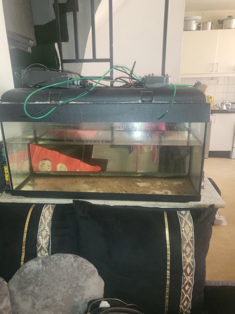 Aquarium 100 l  complet  à  50 €, Enlèvement ou Envoi