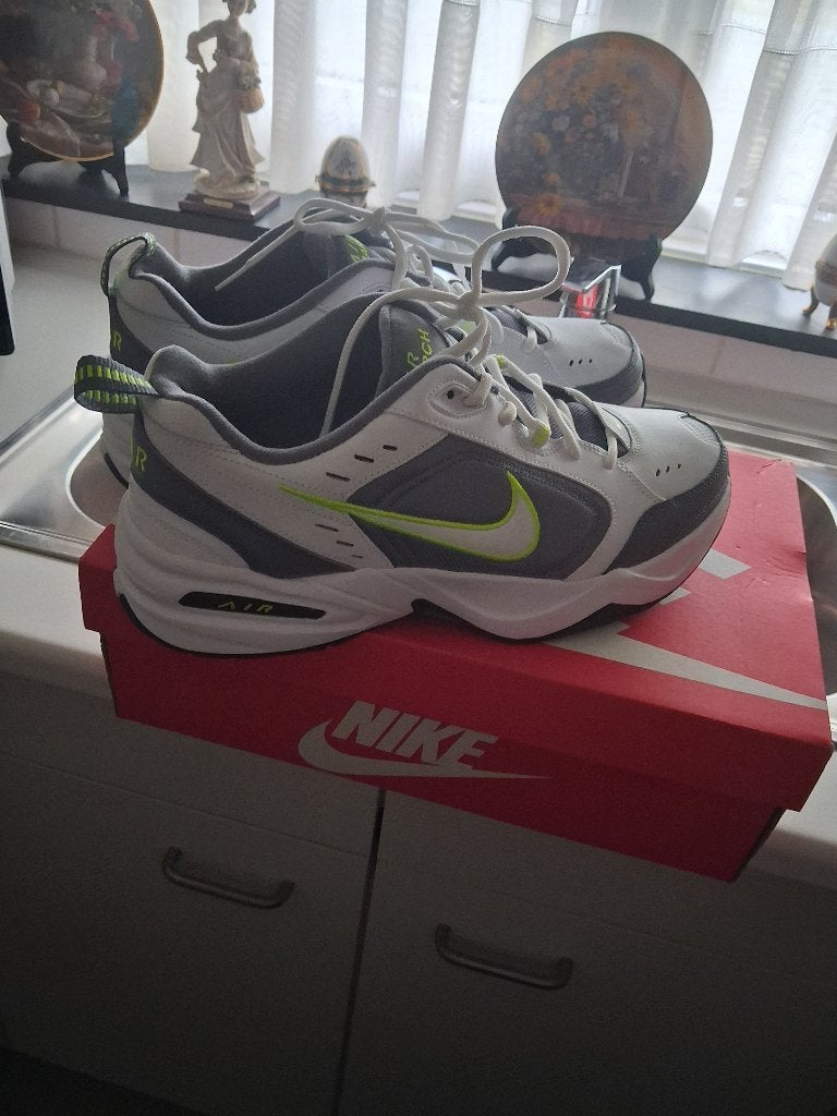 nike air schoenen  nieuw maat 43 a44, Enlèvement ou Envoi