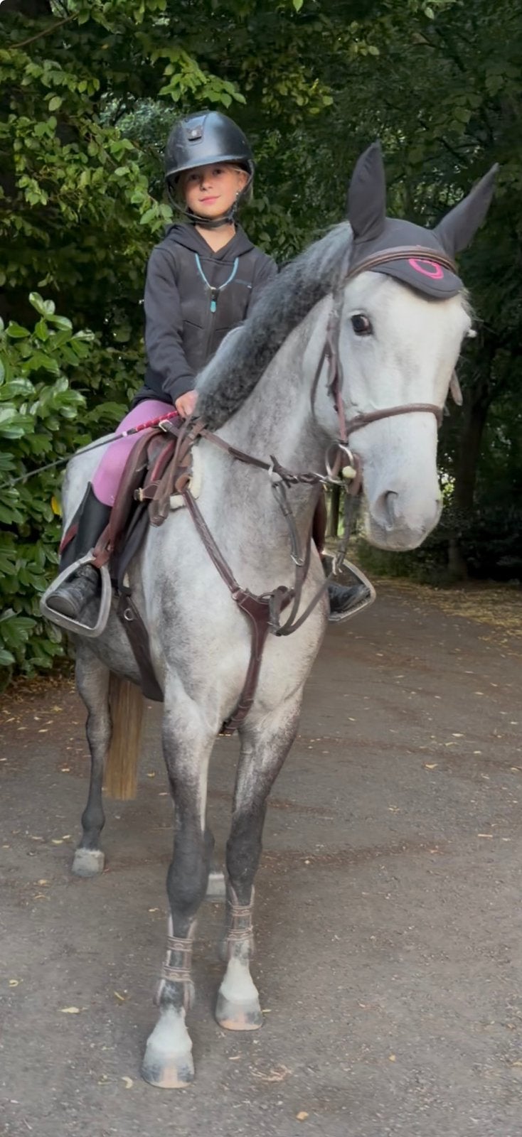 schoolmaster op zoek naar een nieuwe beste vriend, Merrie, M