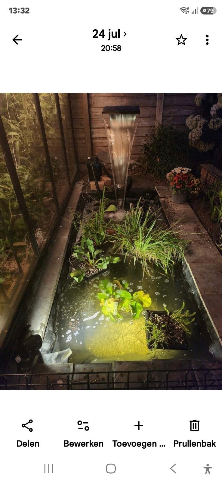 fontaine d'étang, Enlèvement