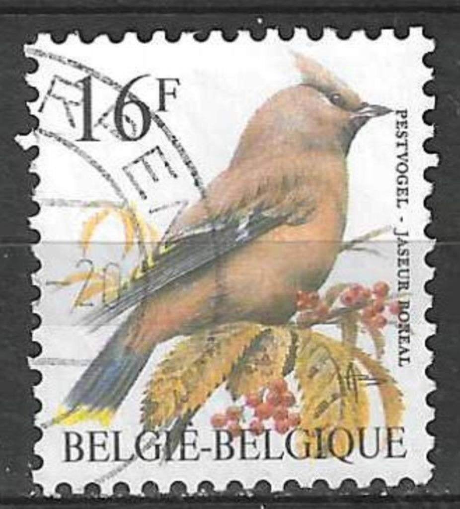 Belgique 1994 - Yvert/OBP 2534 - Buzin - Waxwing - 16 (FST), Envoi, Affranchi, Oblitéré, Véhicules
