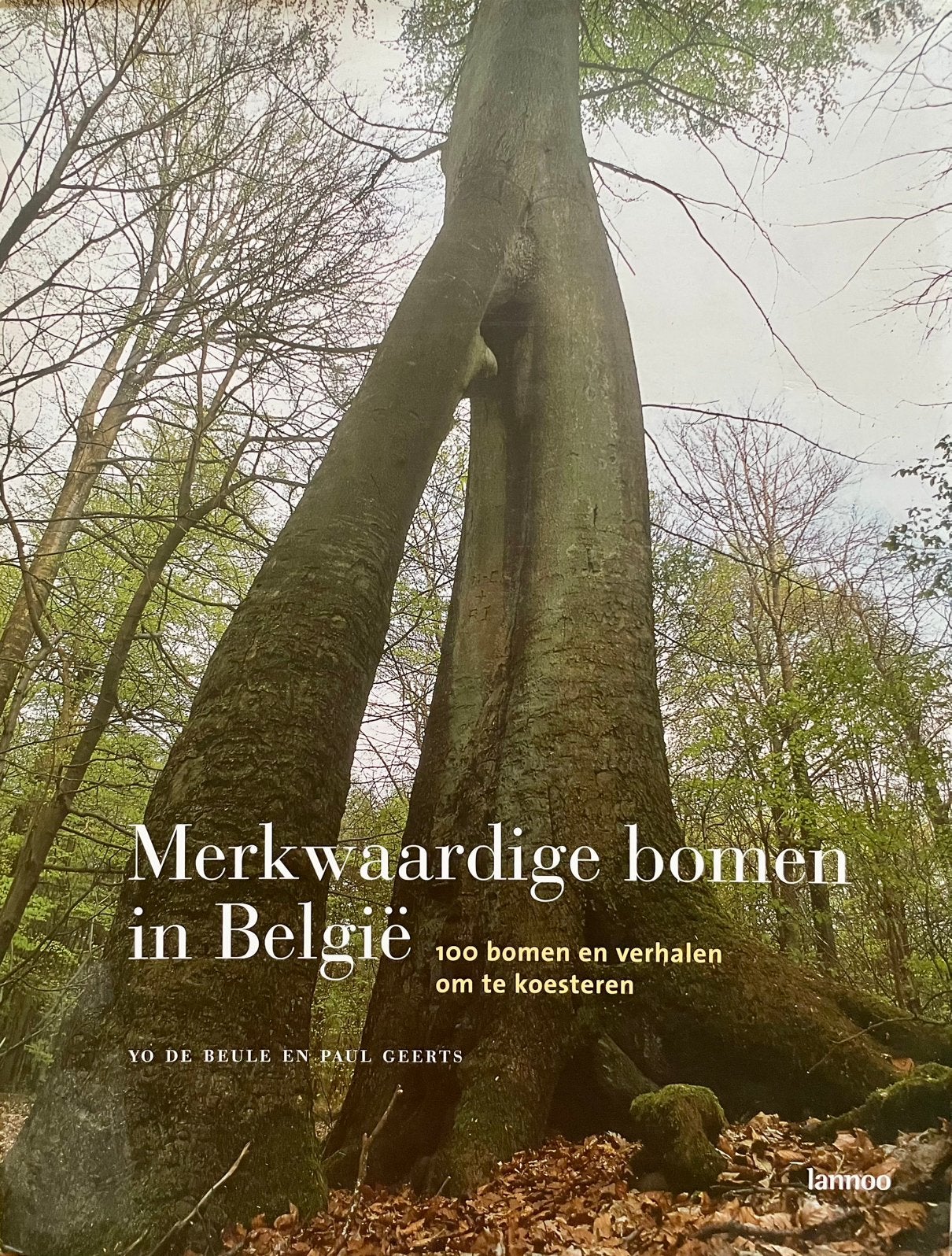 "Merkwaardige bomen in België: 100 verhalen om te koesteren", Enlèvement ou Envoi, Comme neuf