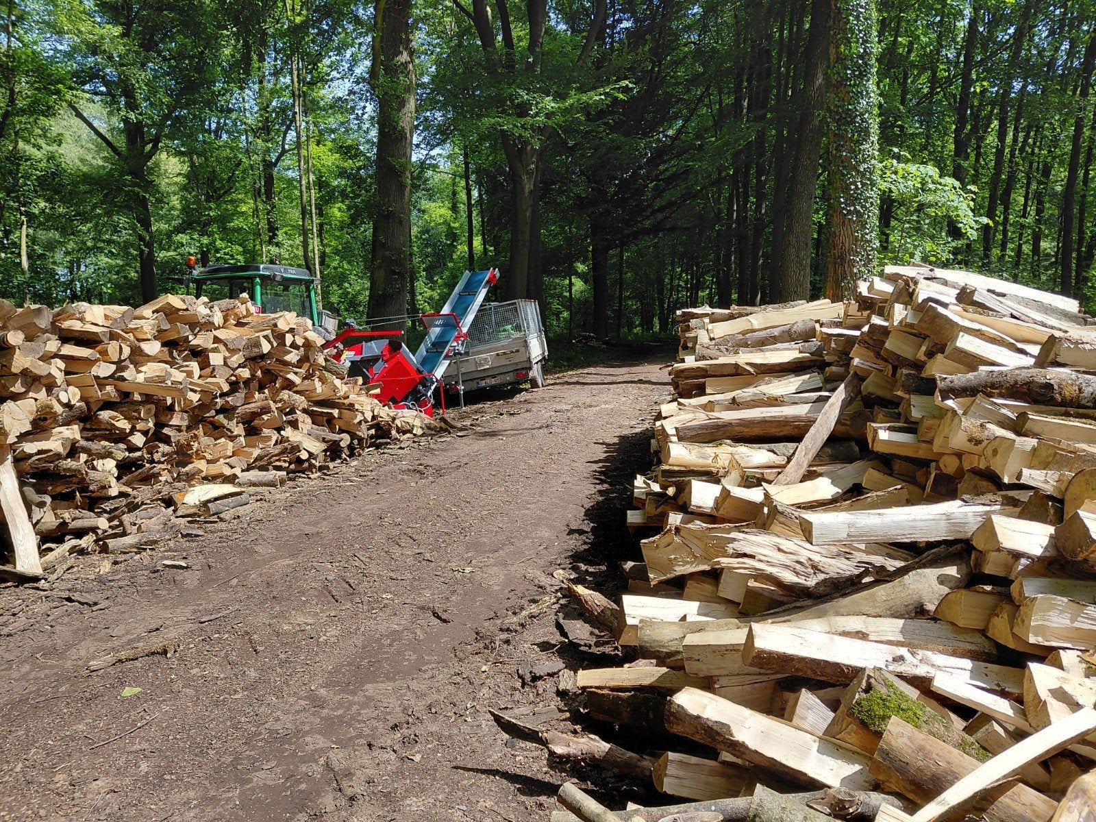 BOIS DE CHAUFFAGE APD 50€/m3, Jardin & Terrasse, Bois de chauffage, Enlèvement, Frêne, Bûches