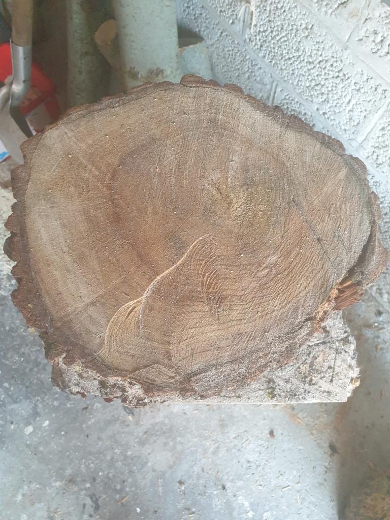 Eiken boomstam, Tuin en Terras, Ophalen