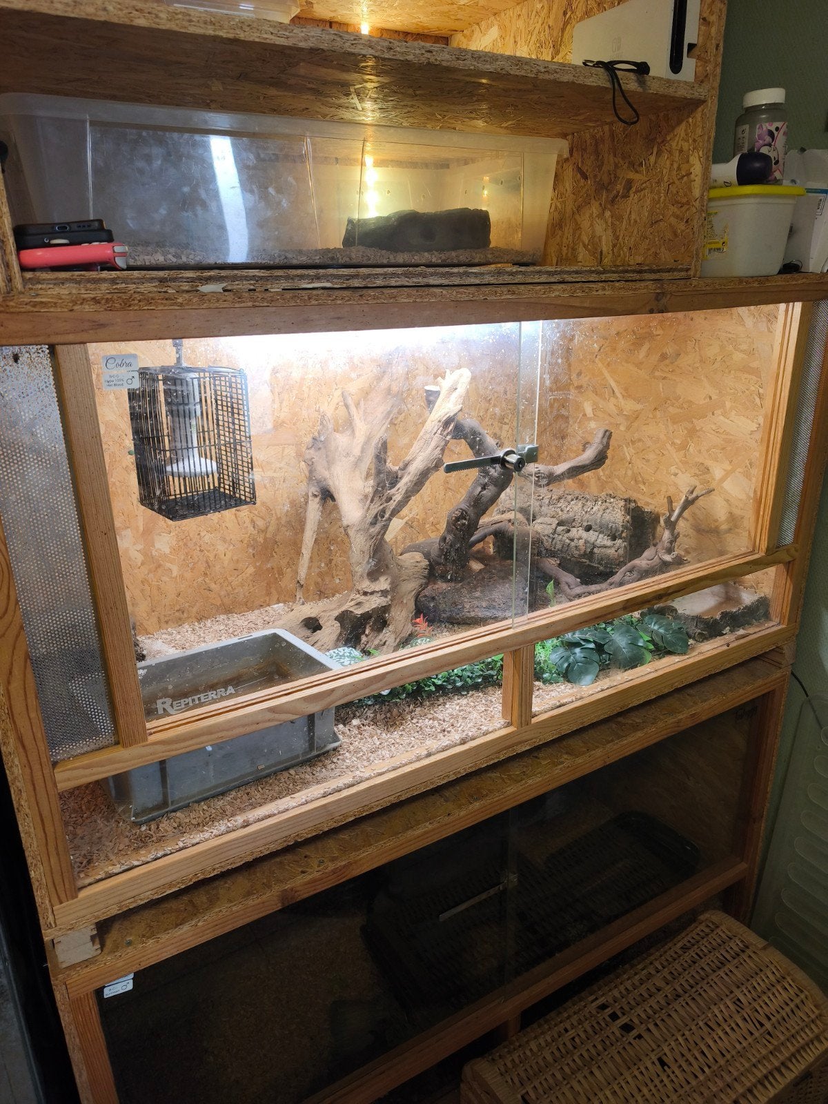 2 terrarium osb 120-60-60 équipe, Animaux & Accessoires, Enlèvement, Utilisé, Terrarium ou Paludarium