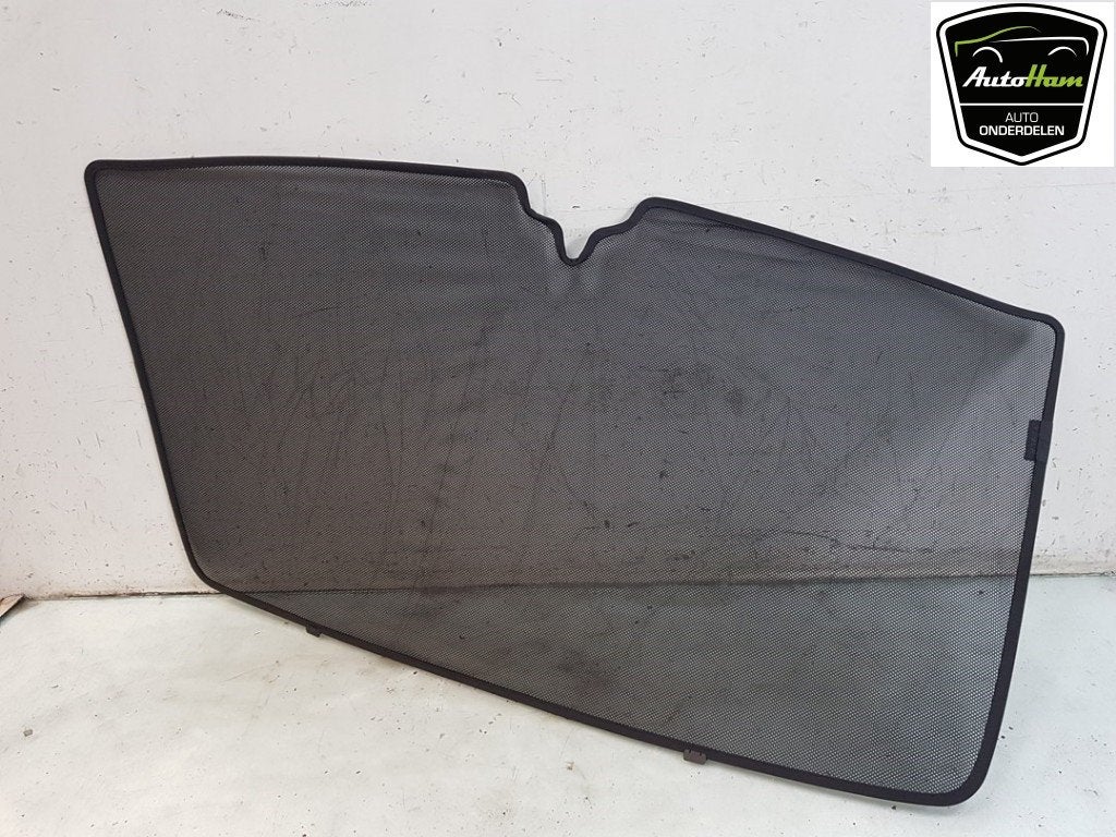 DIVERSEN Zonneluifel Tesla Model X (|107835400B|), Dhr. J. Ham, Gebruikt, Overige automerken, Administratie@autoham.nl