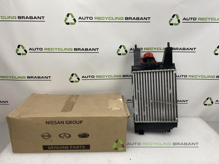 Intercooler d'un Nissan Pulsar, -, 3 mois de garantie, Utilisé, -