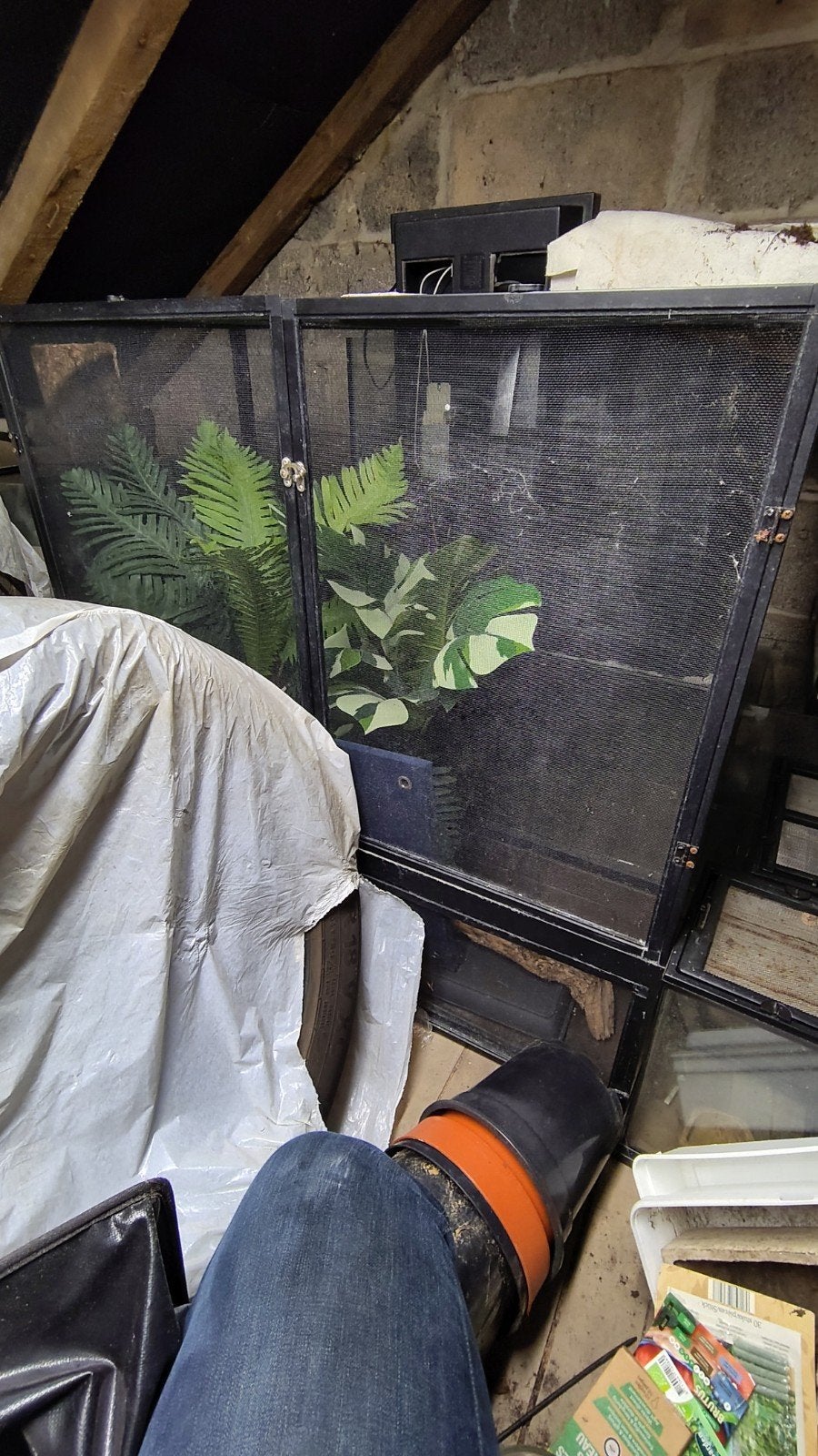 exo terra zeef terrarium 90 x 45 x 90 cm, Enlèvement