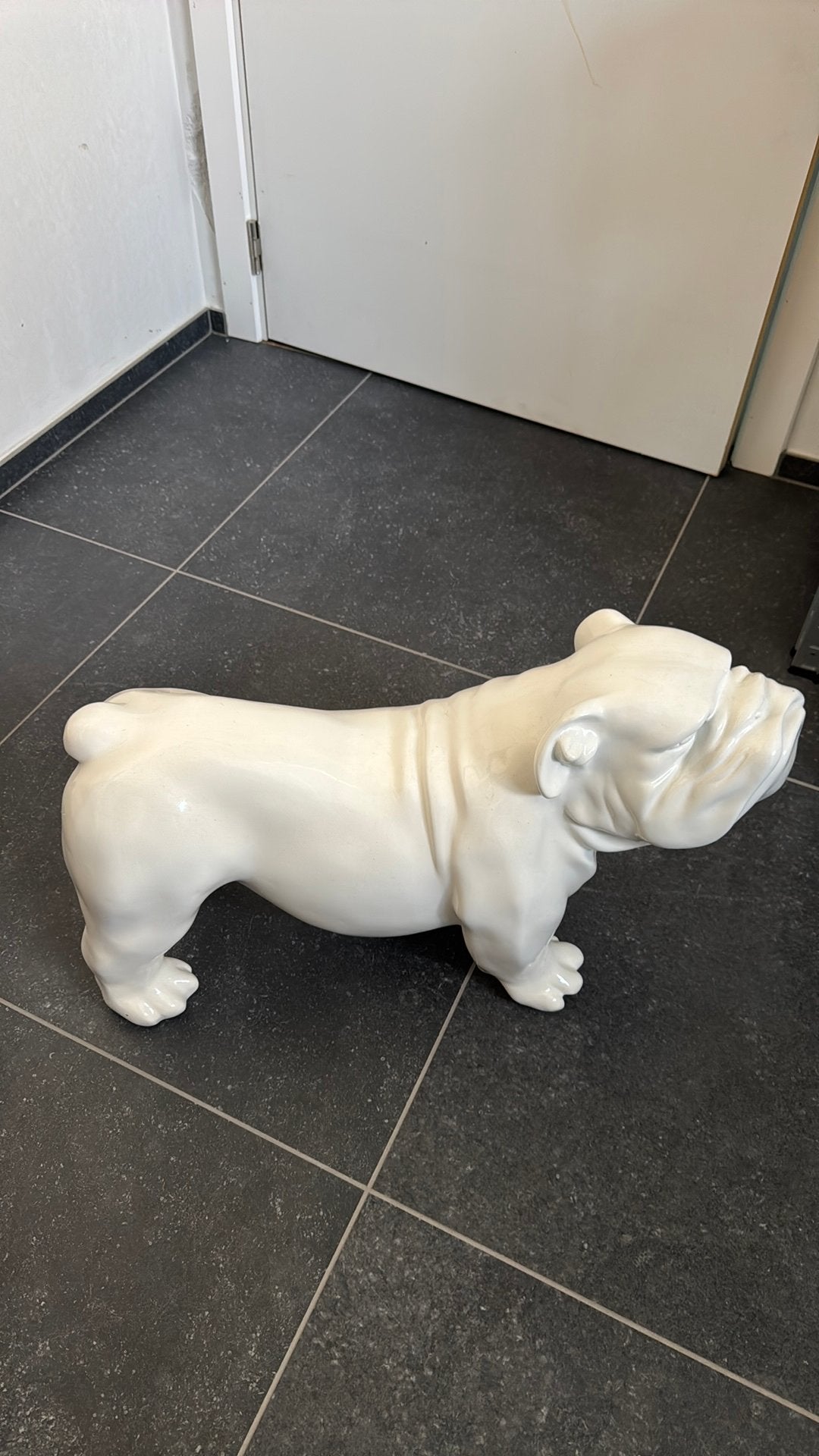 Engelse bulldog wit polyester, Ophalen, Wit