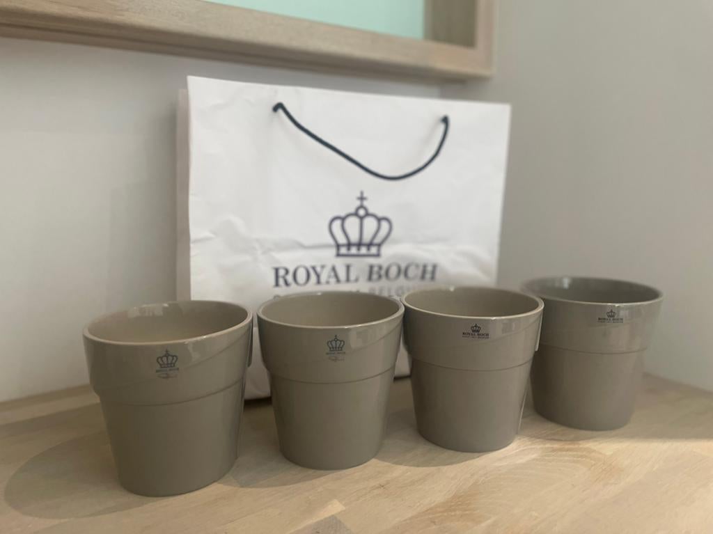Royal Boch, Enlèvement ou Envoi, Moins de 25 cm, Comme neuf, Intérieur