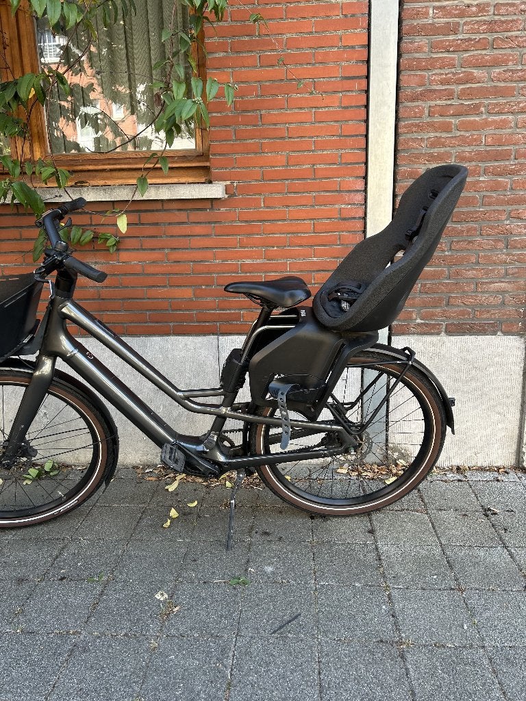 Fietsstoeltje  Thule Yepp Nexxt 2 maxi, Ophalen, Achterzitje, Voetsteuntjes, 9 t/m 18 kg