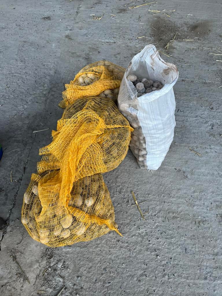 Pootgoed Bintje: maat 28-35, Ophalen