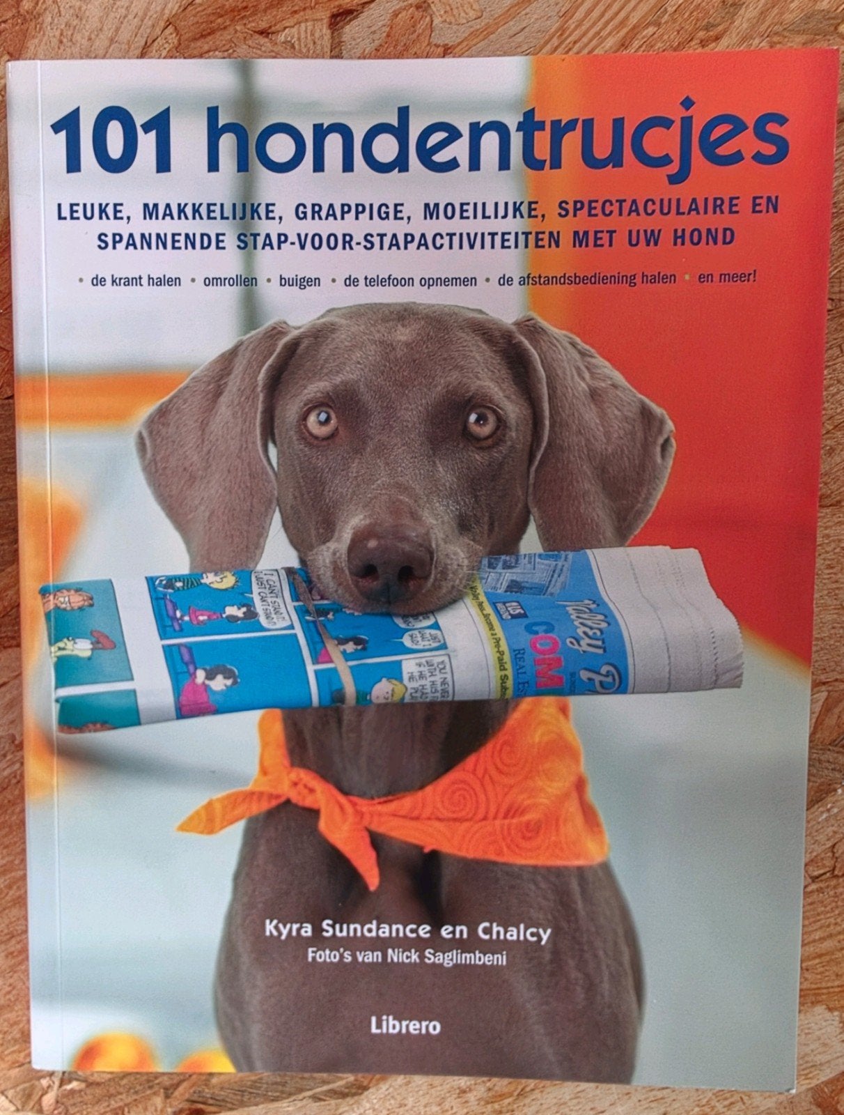 101 Hondentrucjes van Kyra Sundance en Chalcy, Livres, Animaux & Animaux domestiques, Enlèvement ou Envoi, Comme neuf, Chiens
