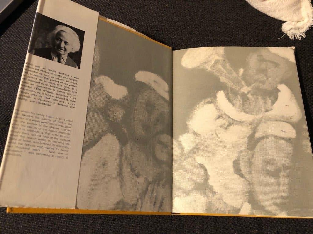 Mané-Katz de Michel Ragon *Livre d'art Fr/Eng rare, Livres, Art & Culture | Arts plastiques, Peinture et dessin, Enlèvement ou Envoi