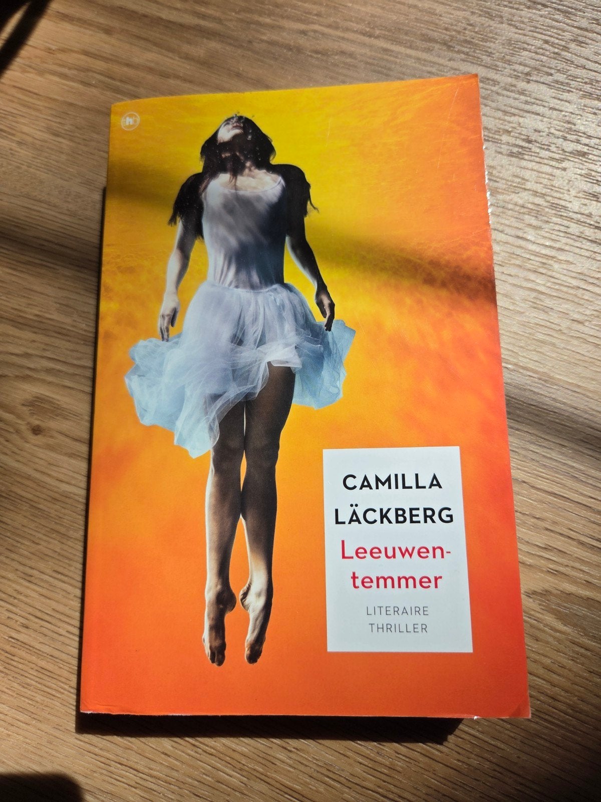 Camilla Läckberg - Leeuwentemmer, Livres, Chick lit, Enlèvement ou Envoi