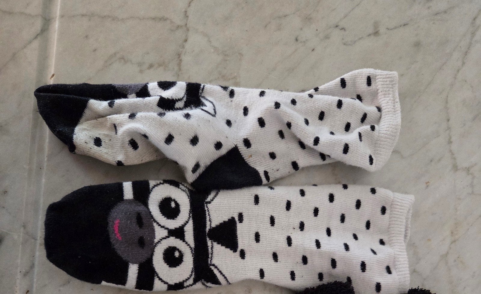 leuke Zebrasokken, Kleding | Dames, Sokken en Kousen, Sokken en Kniesokken, Verzenden, Wit, Maat 35 t/m 38