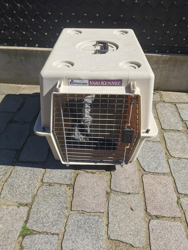 Bench voor kleine tot middelgrote hond, Ophalen