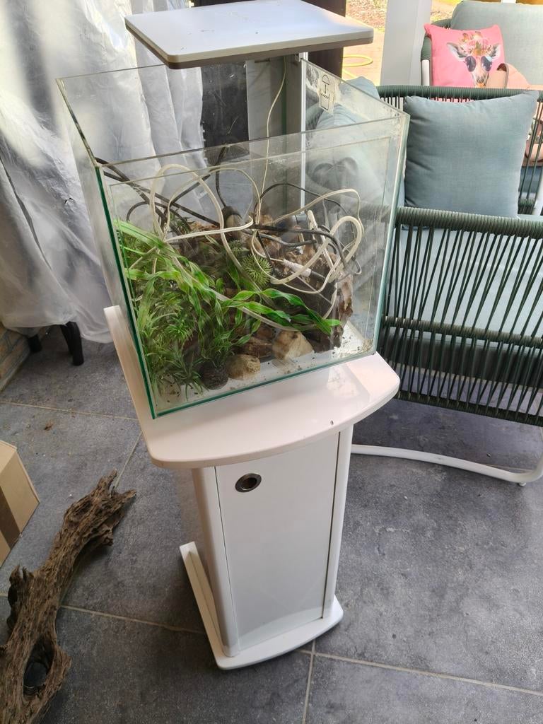 À vendre, aquarium, Enlèvement