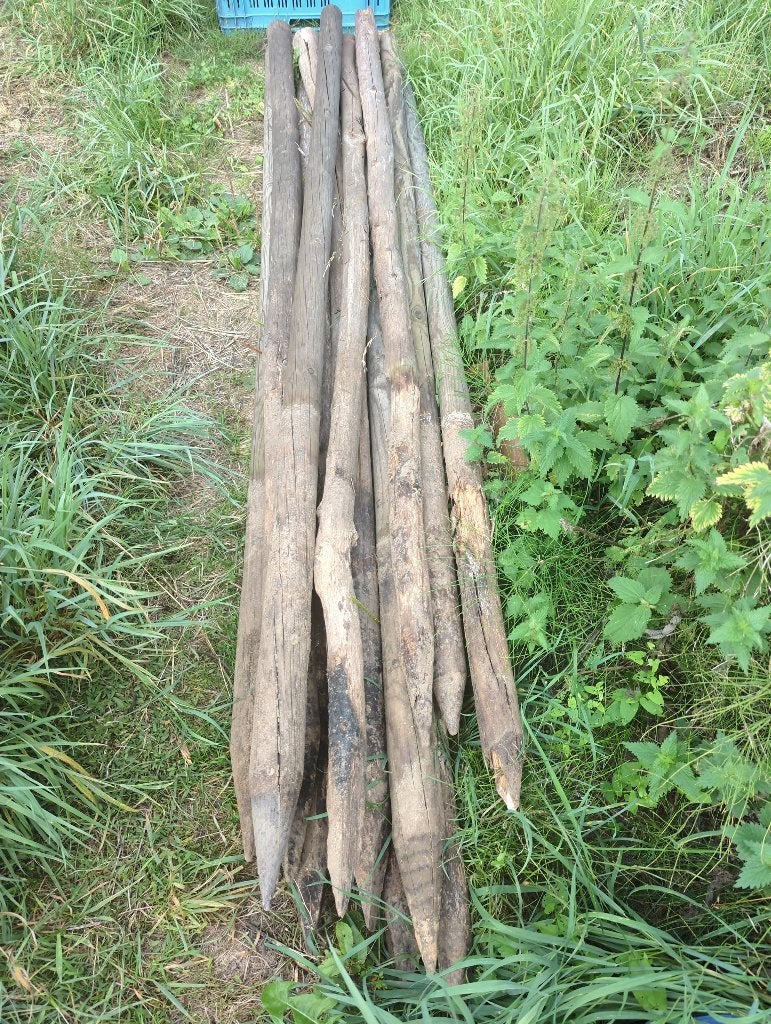 Piquets en bois, Poteaux, Bois dur, Enlèvement, Utilisé