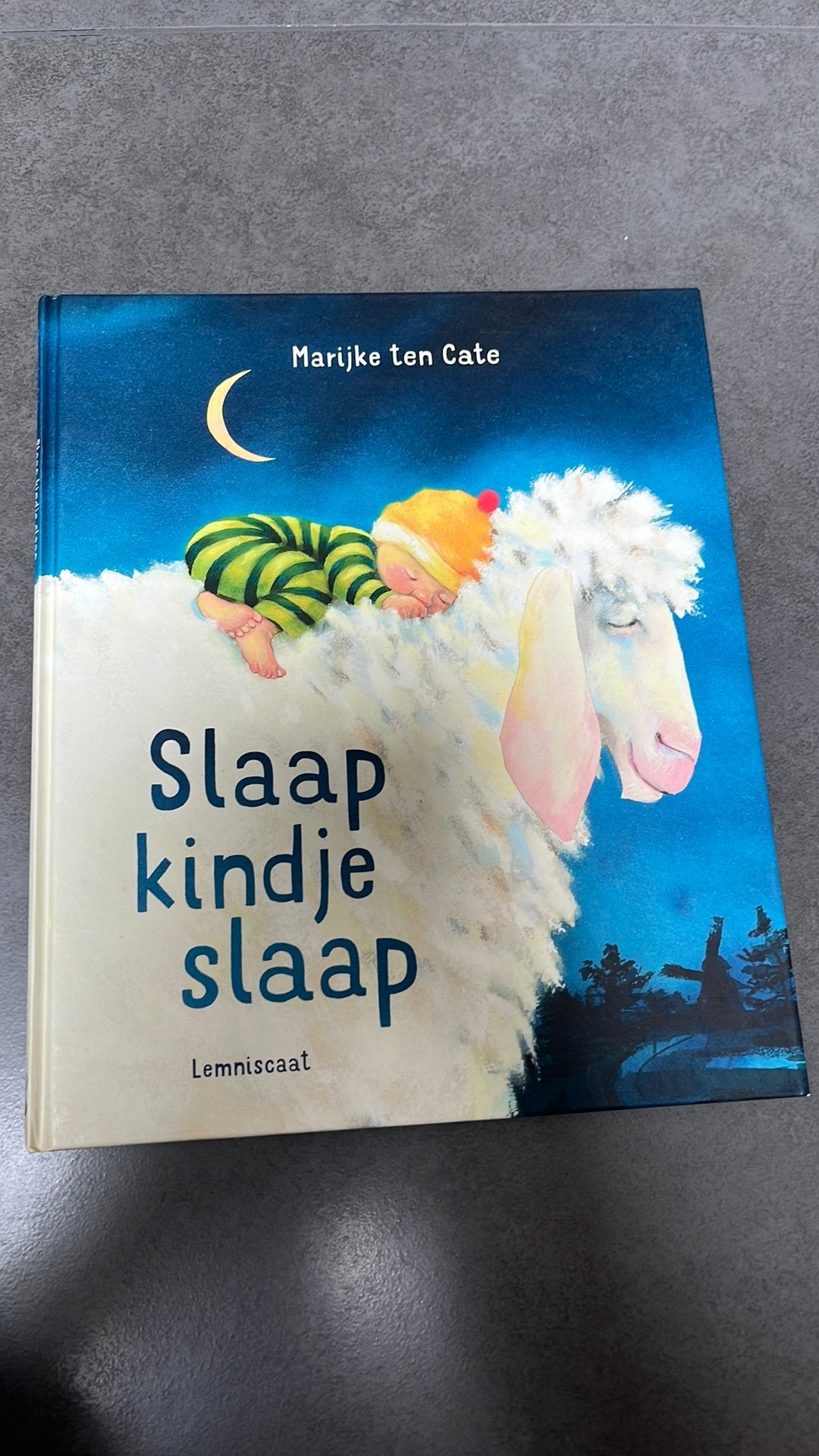 Marijke ten Cate - Slaap kindje slaap, Livres, Livres pour enfants | Jeunesse | Moins de 10 ans, Enlèvement
