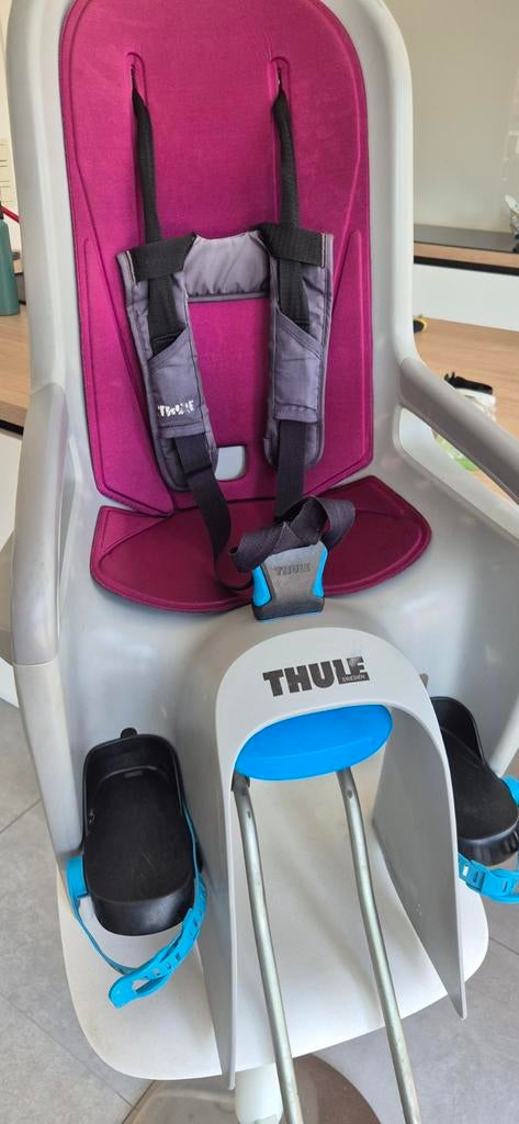 Thule ridealong fietsstoeltje + bracket mrt sleutel, Fietsen en Brommers, Fietsaccessoires | Fietsstoeltjes, Ophalen, Achterzitje