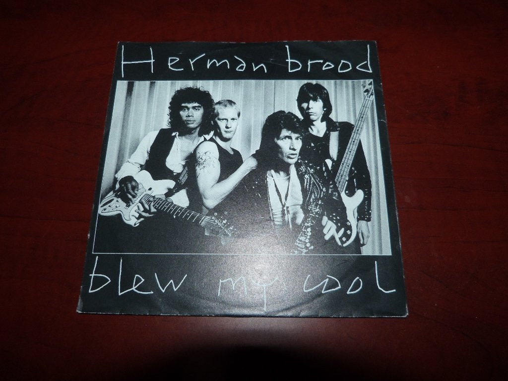 7" van Herman Brood, Cd's en Dvd's, Vinyl Singles, Gebruikt, Fotohoes, 7 inch, Ophalen of Verzenden