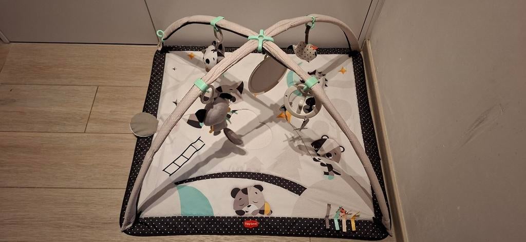 Speelmat Tiny love, Kinderen en Baby's, Ophalen