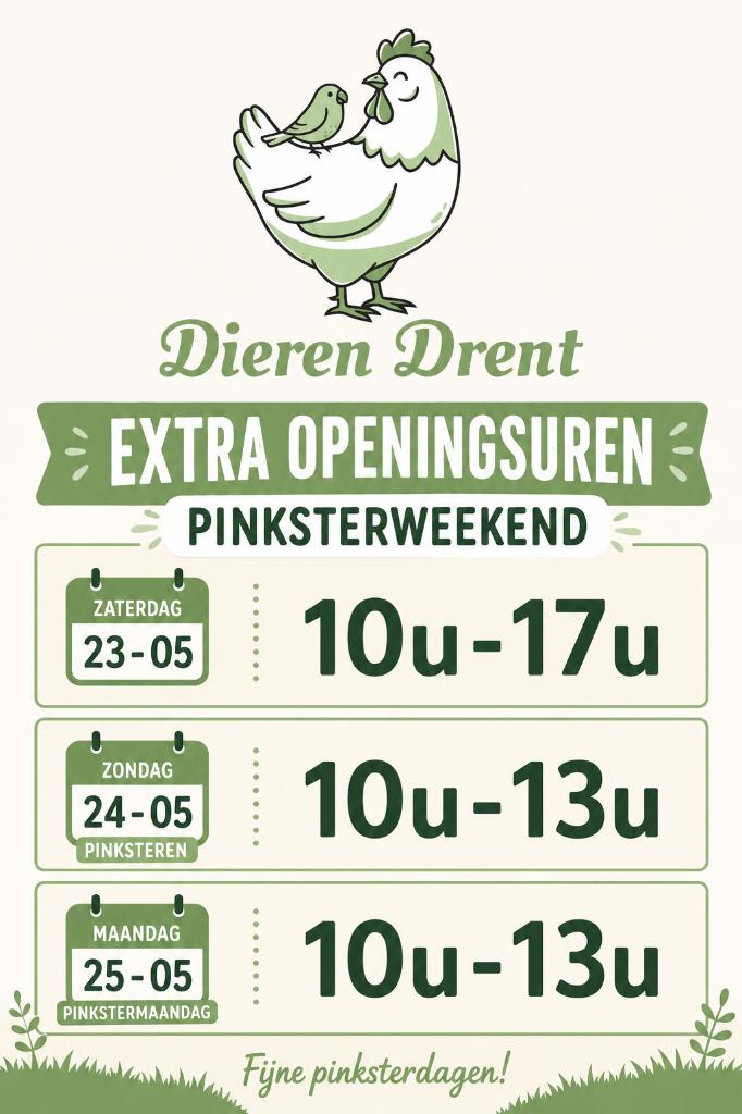 Zeer ruime keuze leg- en sierkippen, Dieren en Toebehoren, Pluimvee