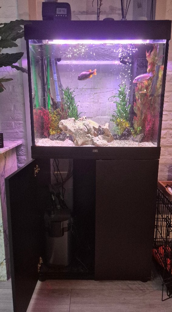 Aquarium met kast en filter, Dieren en Toebehoren, Vissen | Aquaria en Toebehoren, Ophalen, Inclusief toebehoren, Filter