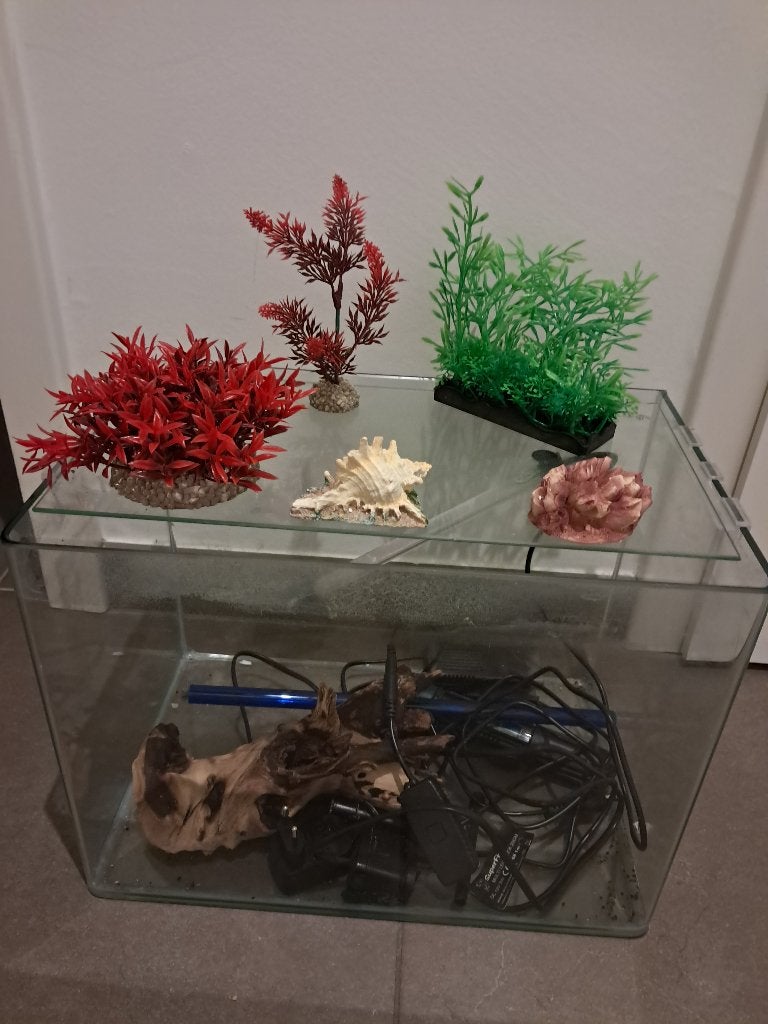 aquarium, Ophalen, Gebruikt, Overige merken, Gevuld zoetwateraquarium